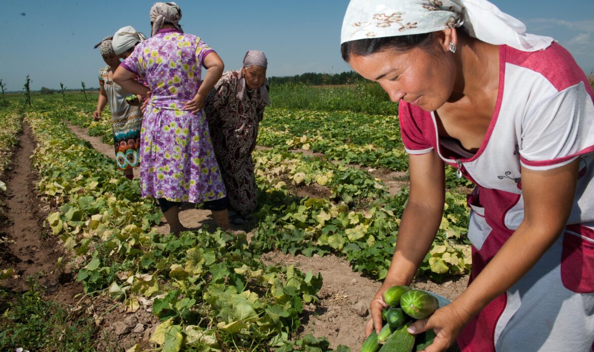 AGRICULTURA FAMILIAR: TRANSFORMANDO NUESTROS SISTEMAS ALIMENTARIOS