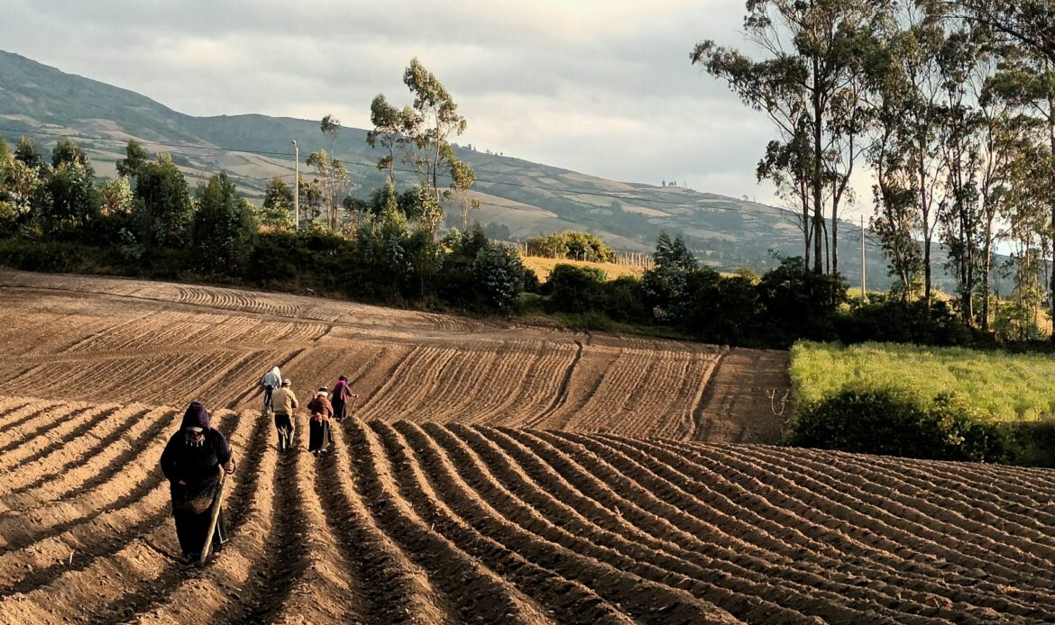 LE 5ème APPEL À PROPOSITIONS POUR LE FONDS DE SOUTIEN AUX COMITÉS NATIONAUX DE L’AGRICULTURE FAMILIALE (CNAF) EST MAINTENANT OUVERT