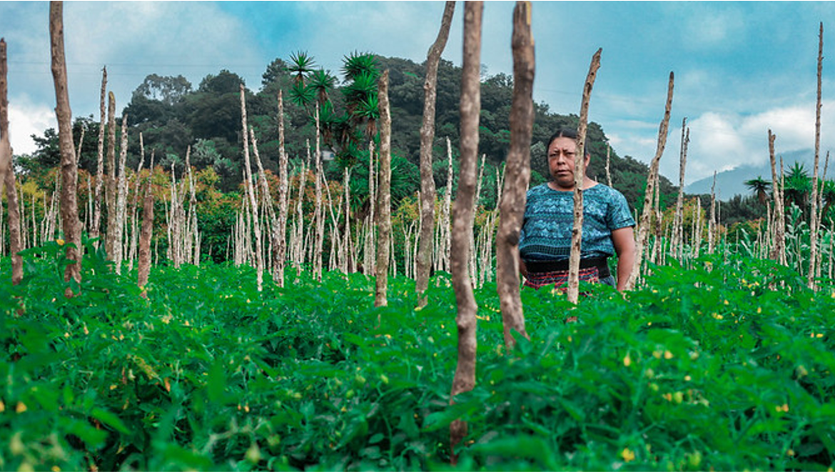 RURAL WOMEN IN ACTION, BUILDING A SUSTAINABLE FUTURE